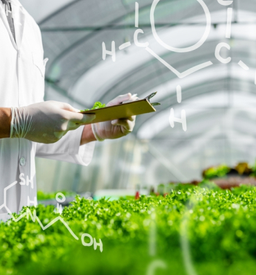In our Gardens Plants for the Shade Grden