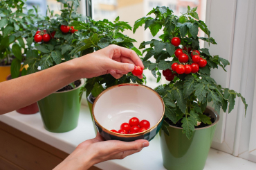  Community Partnerships 